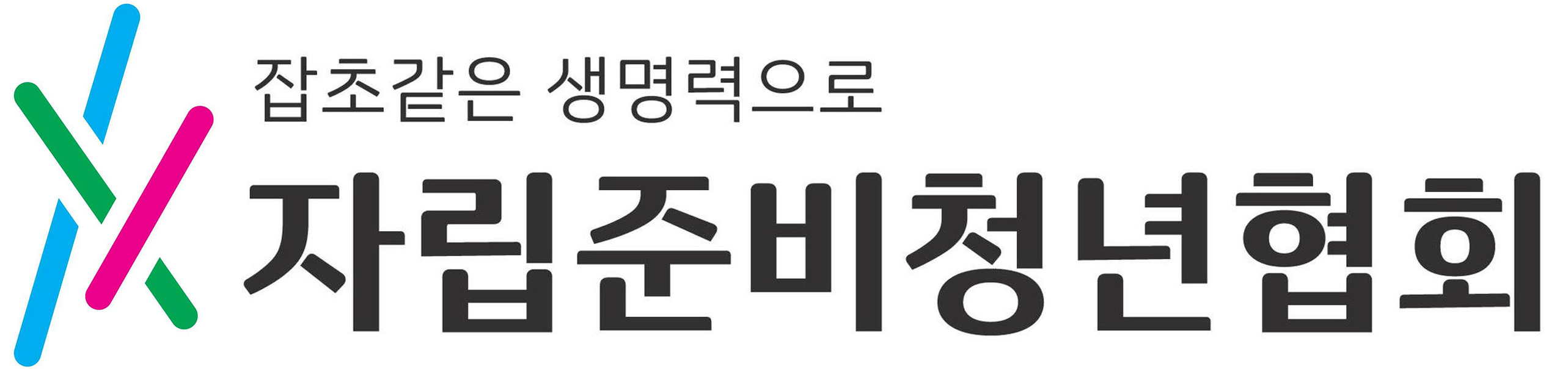 자립준비청년협회
